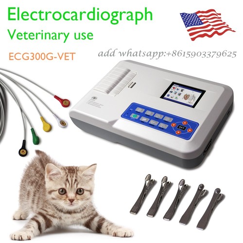Ecg300g vet digital three - digital,